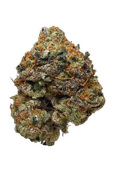 Phantom Cookies - Híbrida Cannabis Strain