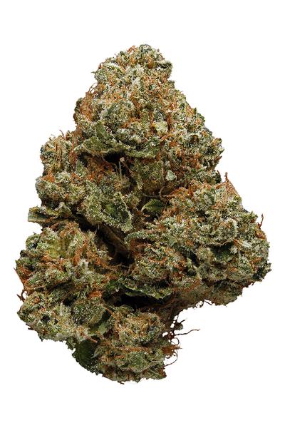 Phantom OG - Indica Cannabis Strain