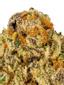 Phatt Fruity Hybrid Cannabis Strain Thumbnail