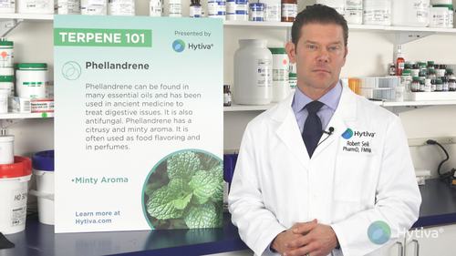 Phellandrene : Know Your Terpenes