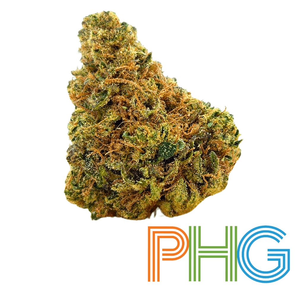 Acapulco Gold Product Image