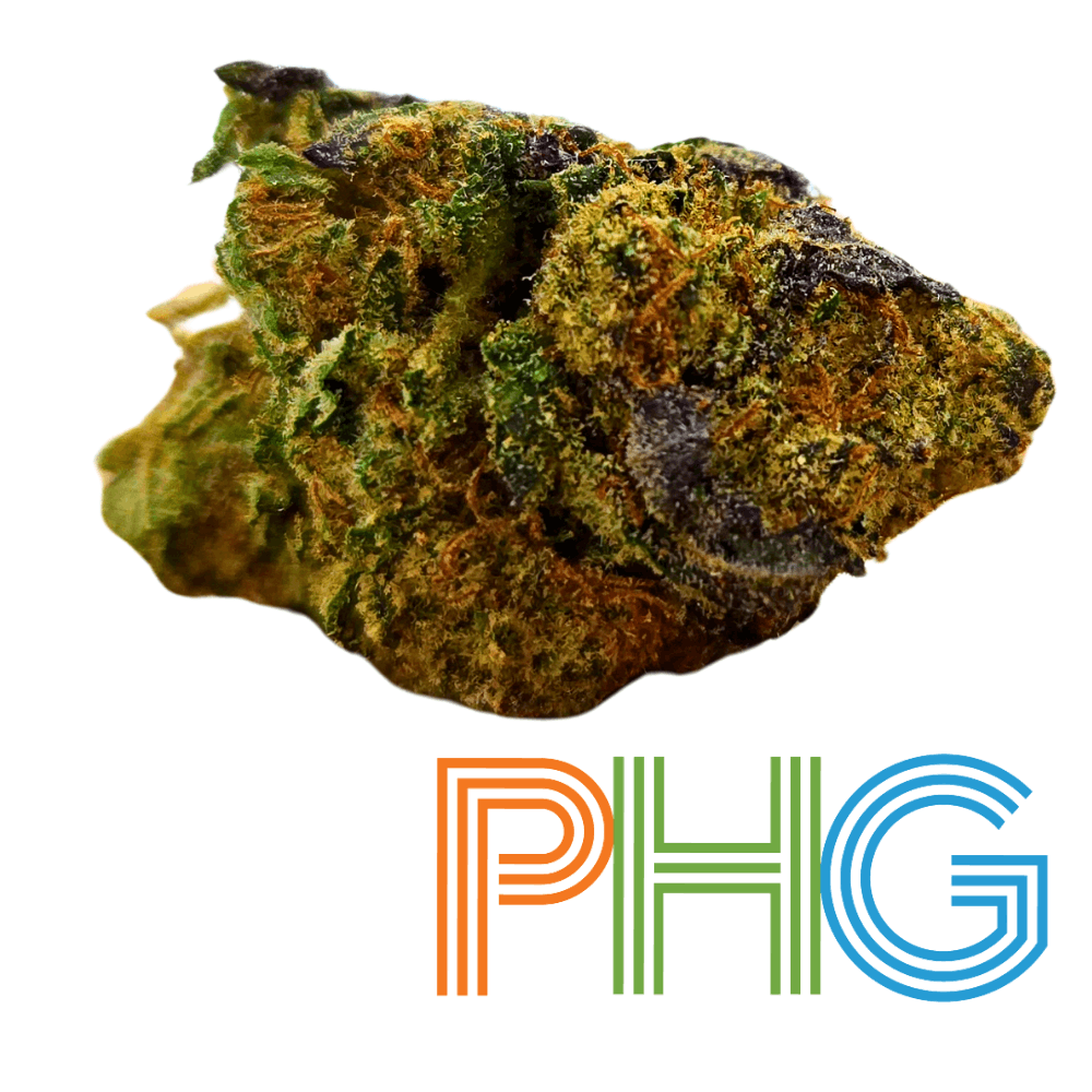 GDPC Product Image