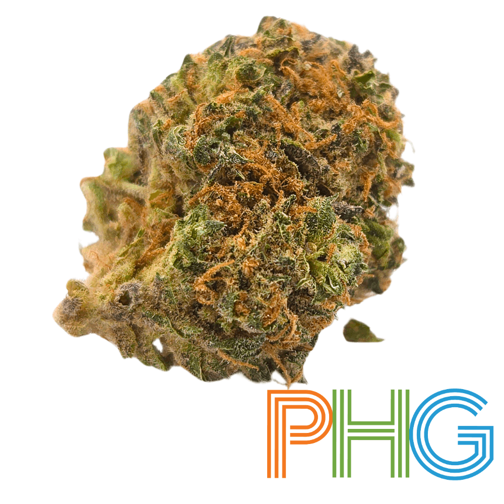 Jilly Bean Product Image