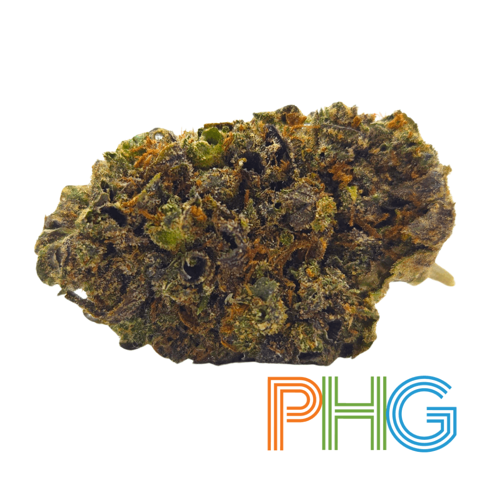 Panama Jack Product Image