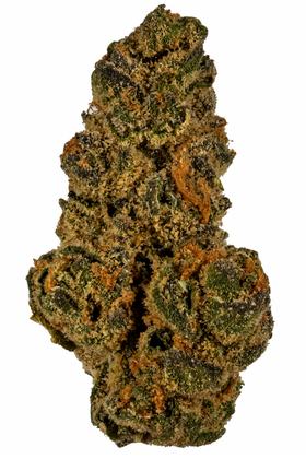 Pie Hoe - Híbrida Cannabis Strain
