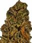 Pie Hoe Hybrid Cannabis Strain Thumbnail