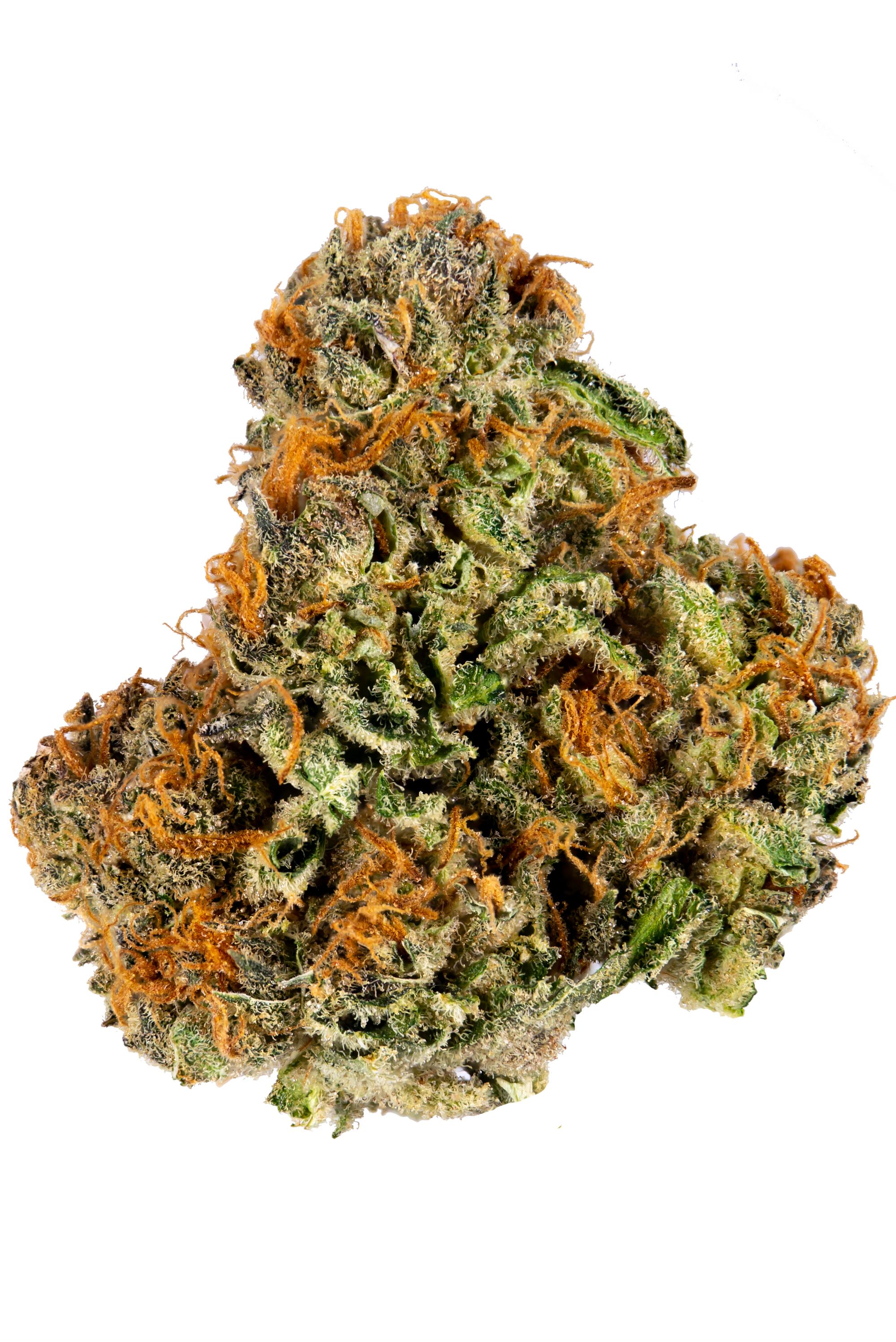Pineapple Express Strain - Hybrid Cannabis Video, THC, Terps : Hytiva