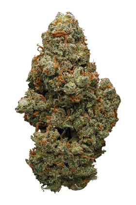 Pineapple Jack - Hybrid Cannabis Strain