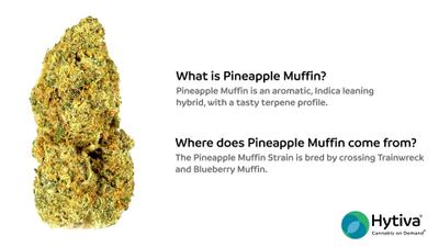Pineapple Muffin - Hybrid Strain