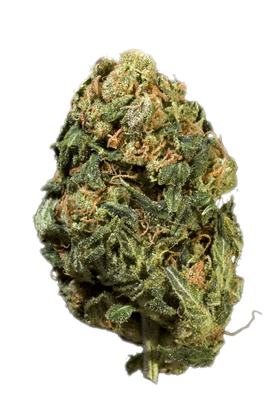 Pineapple OG - Hybrid Cannabis Strain