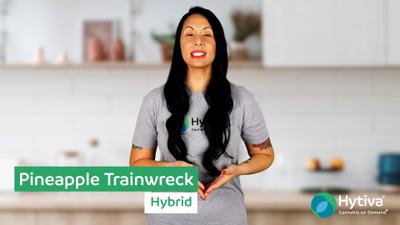Pineapple Trainwreck - Hybrid Strain