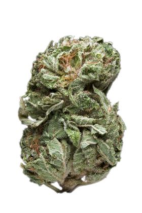 Pink Cookies - Híbrida Cannabis Strain