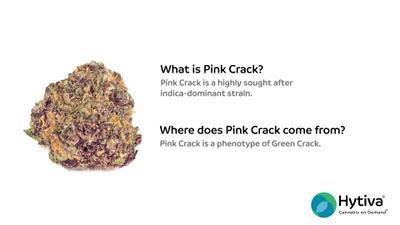 Pink Crack - Hybrid Strain