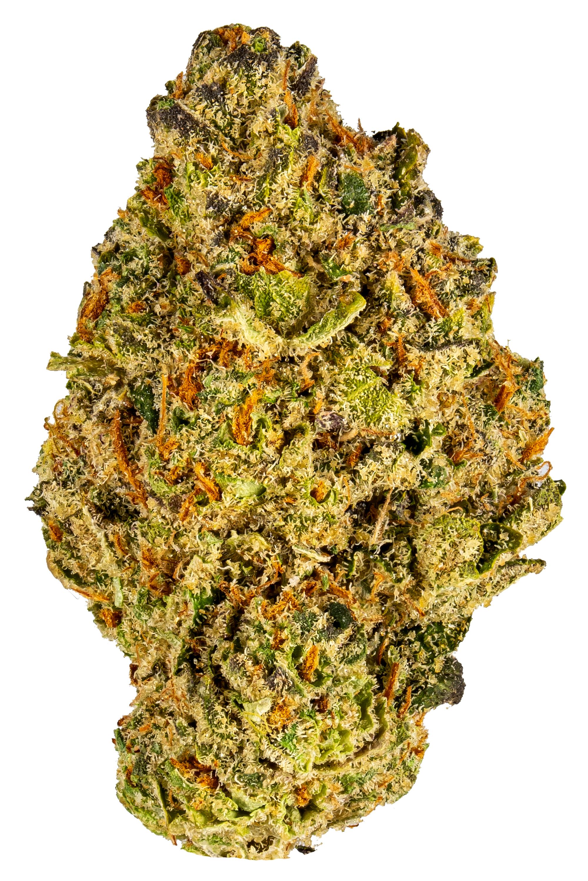 Dosido 9 by Phoenix Cannabis Co- The Cannabis Cactus