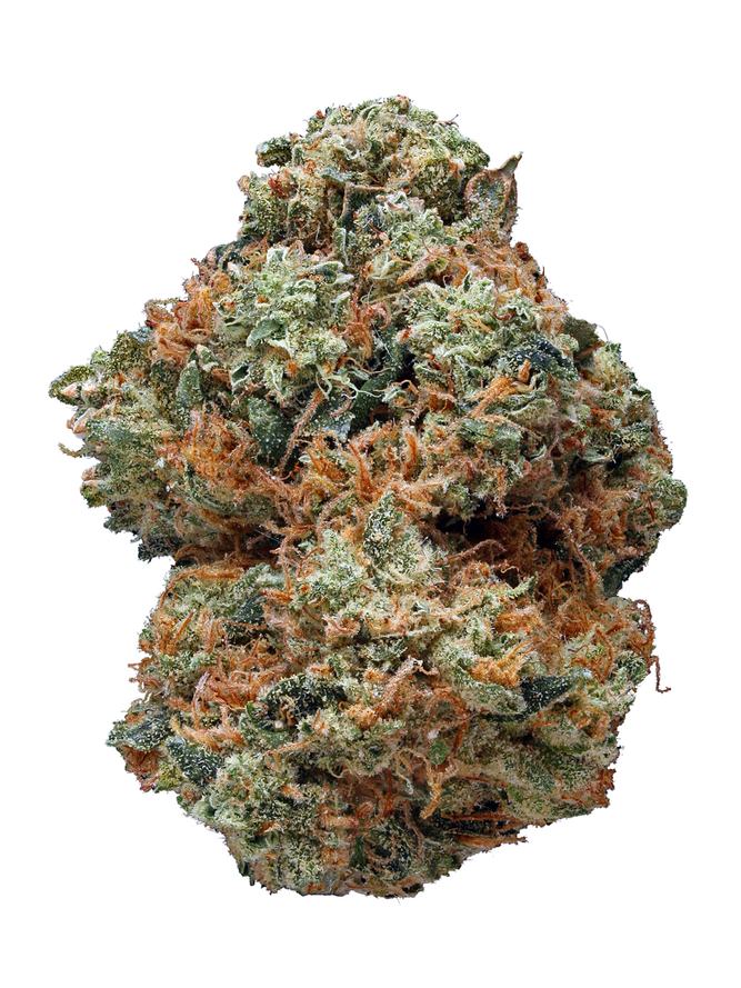 Pink Panther Strain - Hybrid Cannabis Review, CBD, THC : Hytiva