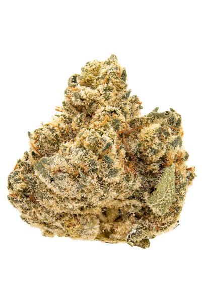 PK Crasher - Híbrido Cannabis Strain