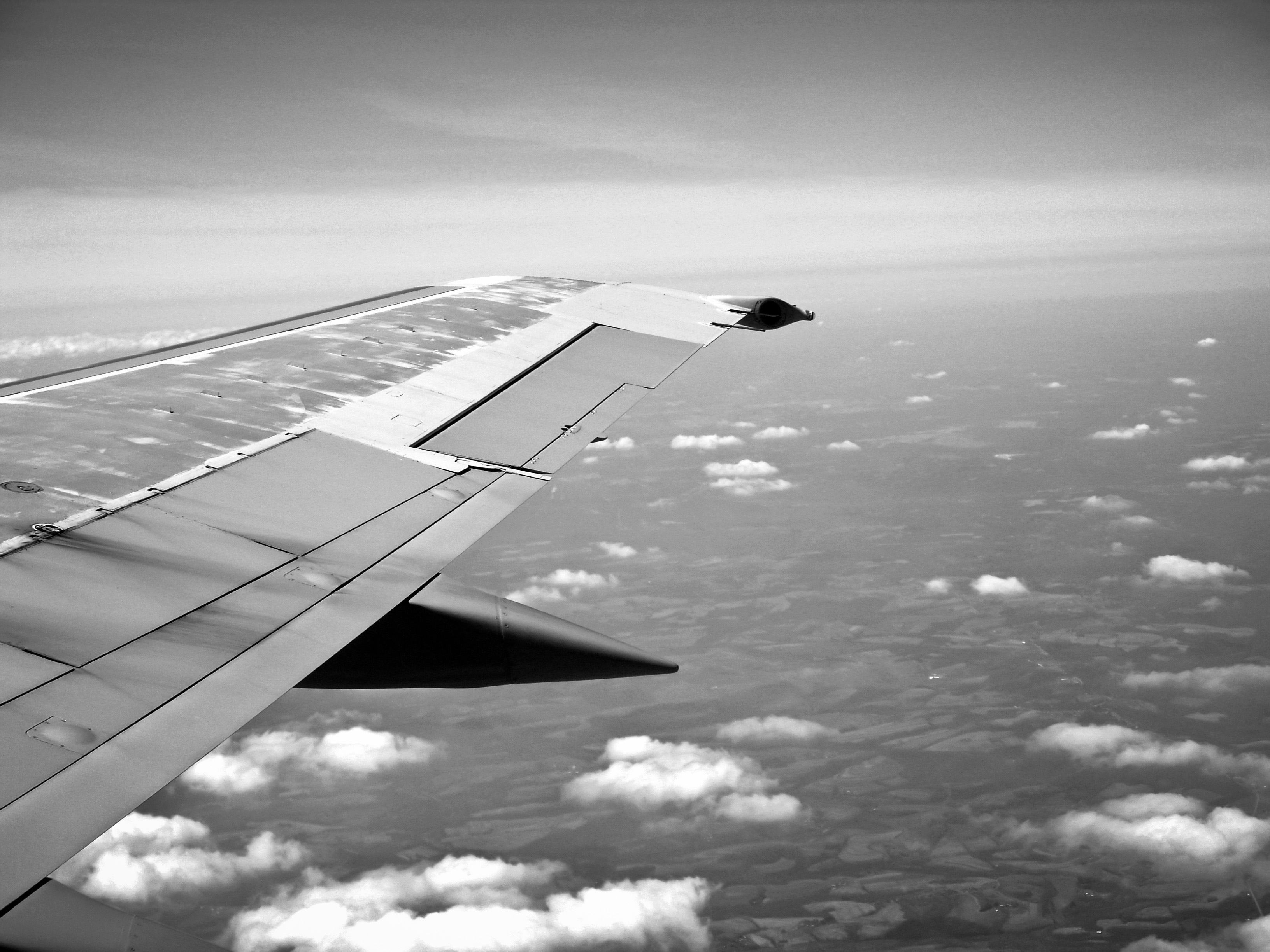 6 Travel Risks & Tips: Flying with Cannabis