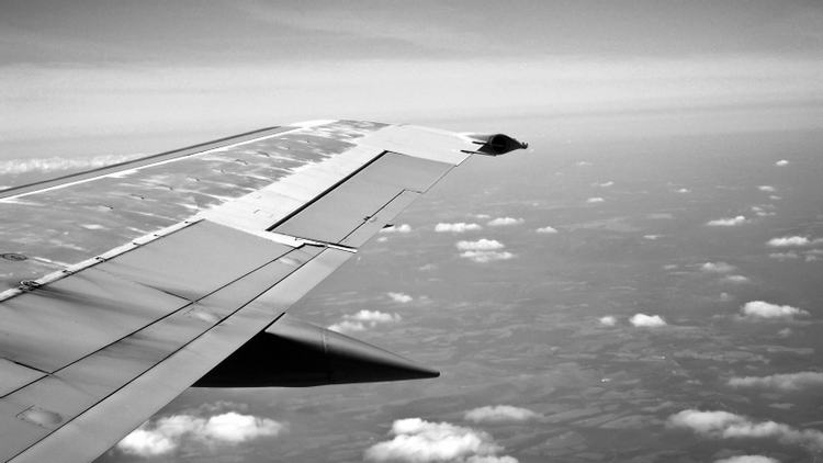 6 Travel Risks & Tips: Flying with Cannabis