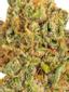 Platinum Cake Hybrid Cannabis Strain Thumbnail
