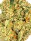 Platinum Glue Hybrid Cannabis Strain Thumbnail