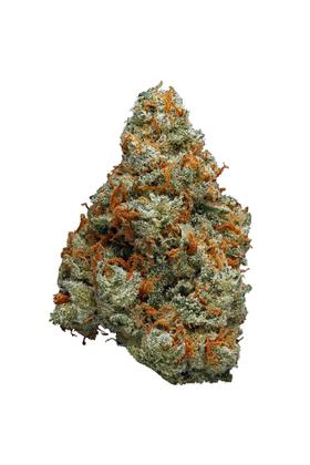 Platinum Jack - Hybrid Cannabis Strain