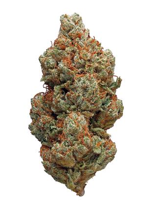 Platinum OG - Híbrida Cannabis Strain