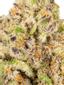 Platinum Punch Mints Hybrid Cannabis Strain Thumbnail