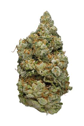 Platinum Purple Kush - Indica Cannabis Strain