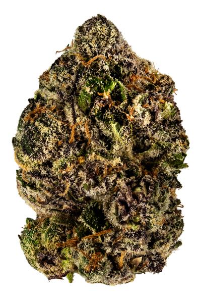 Platinum Purple - Индика Сорт каннабиса