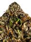 Platinum Purple Indica Cannabis Strain Thumbnail