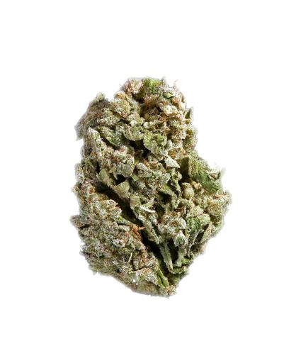 Platinum Truth - Hybrid Cannabis Strain