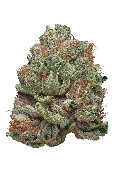 Platinum Wreck - Hybrid Cannabis Strain