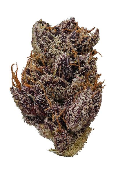 Plushberry - 混合物 Cannabis Strain