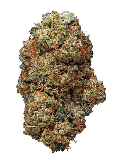 Poison - Hybrid Cannabis Strain