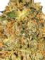 Pomelo Hybrid Cannabis Strain Thumbnail