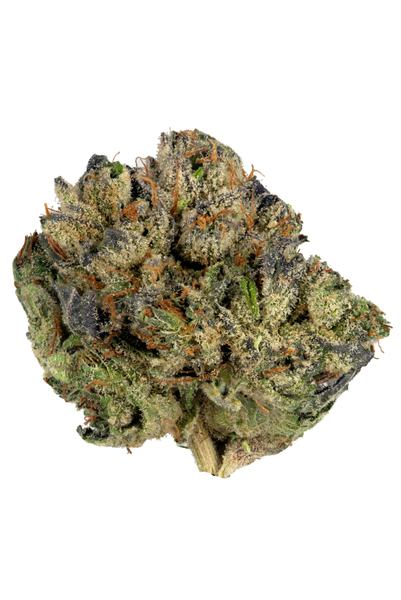Pre 98 Bubba Kush - Hybrid Cannabis Strain