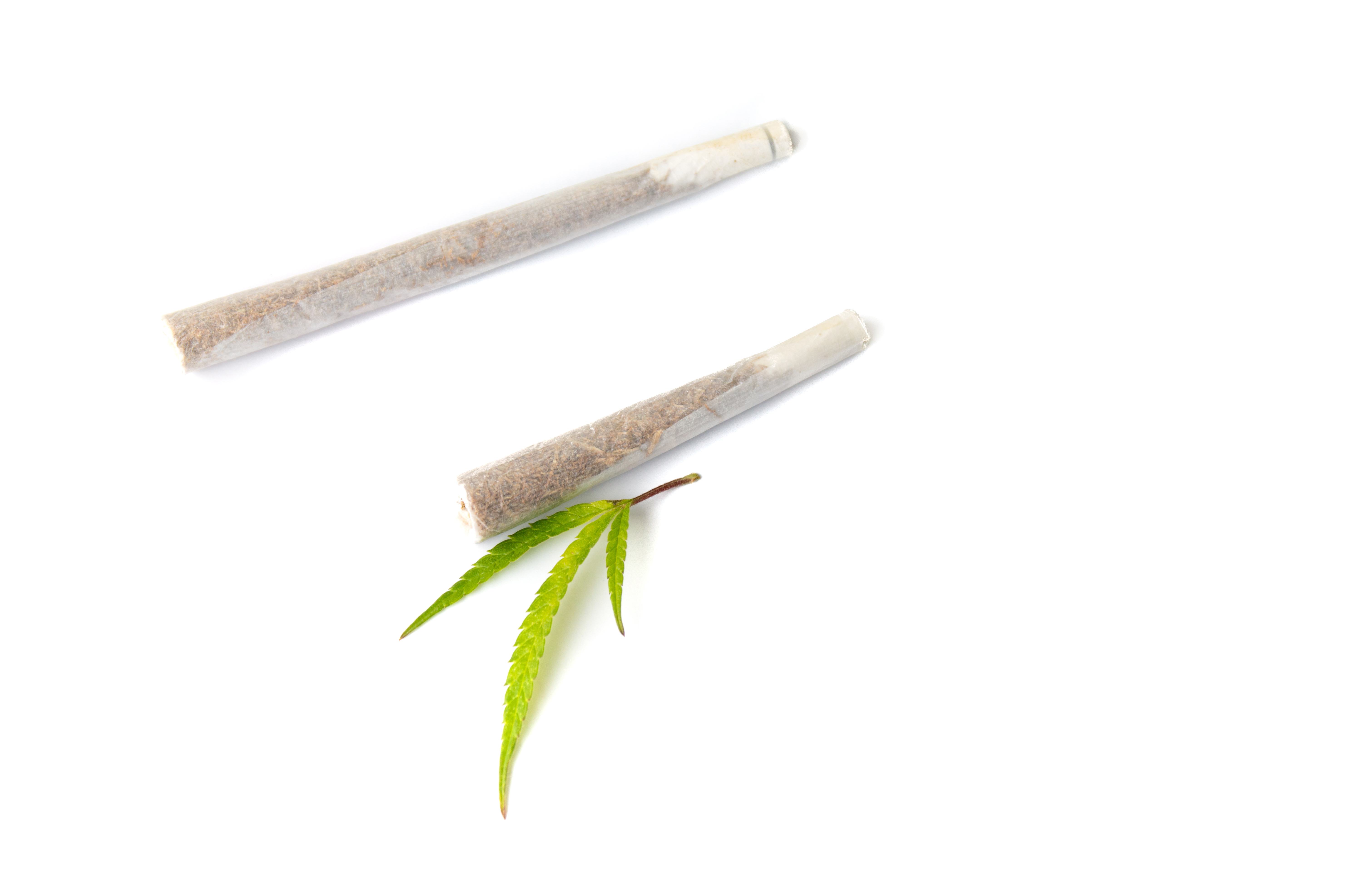 Two different sized marijuana prerolls and a small marijuana leaf lay on a white background.