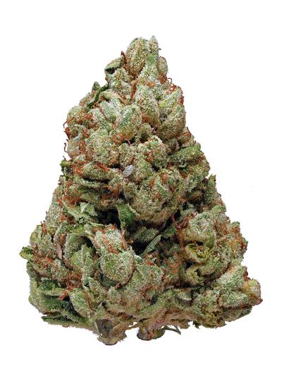 Presidential OG - Hybrid Cannabis Strain