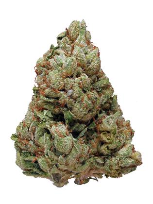 Presidential OG - Híbrido Cannabis Strain