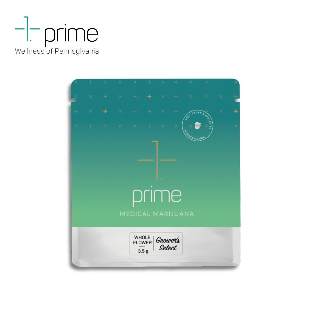 Afghani Hound #3 Product Image