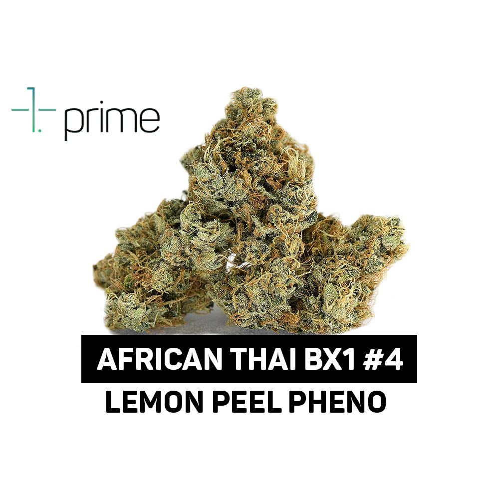 African Thai BX1 #4 Product Image