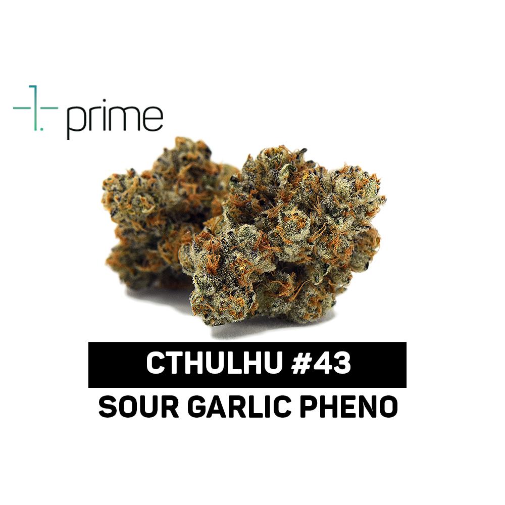 Cthulhu #43 Product Image