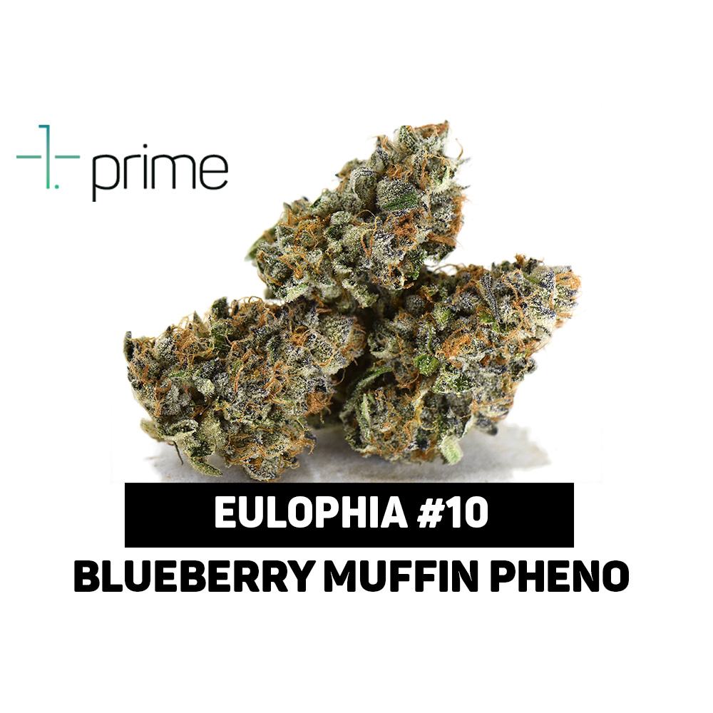 Eulophia #10 Product Image