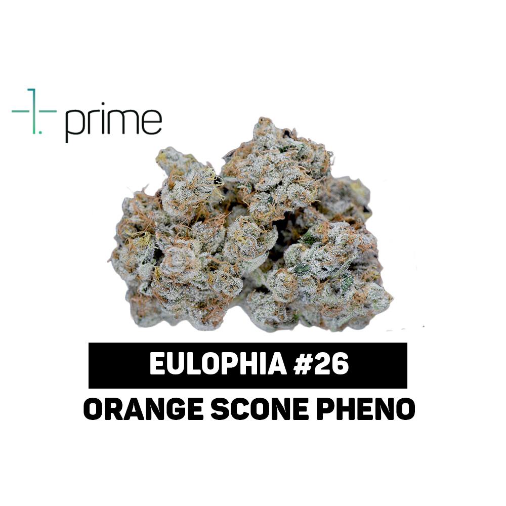 Eulophia #26 Product Image