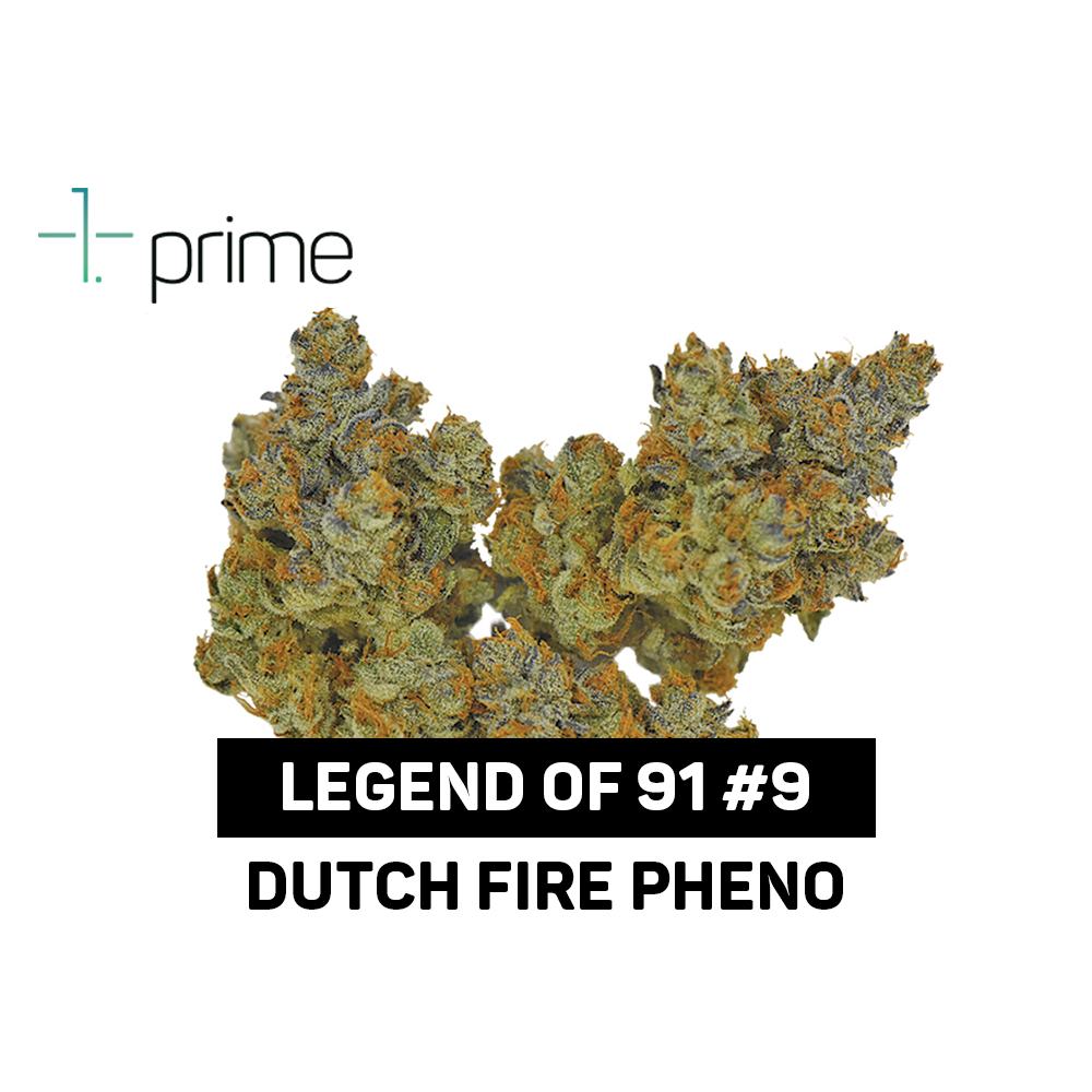 Legend of 91 #9 Product Image