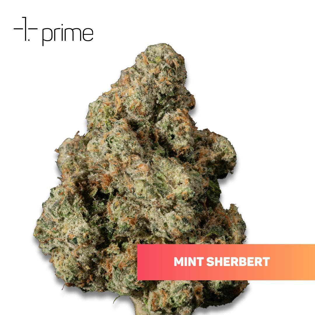 Mint Sherbert Product Image
