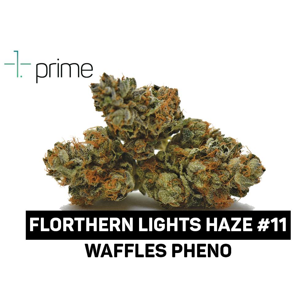 Florthern Lights Haze #11 Product Image