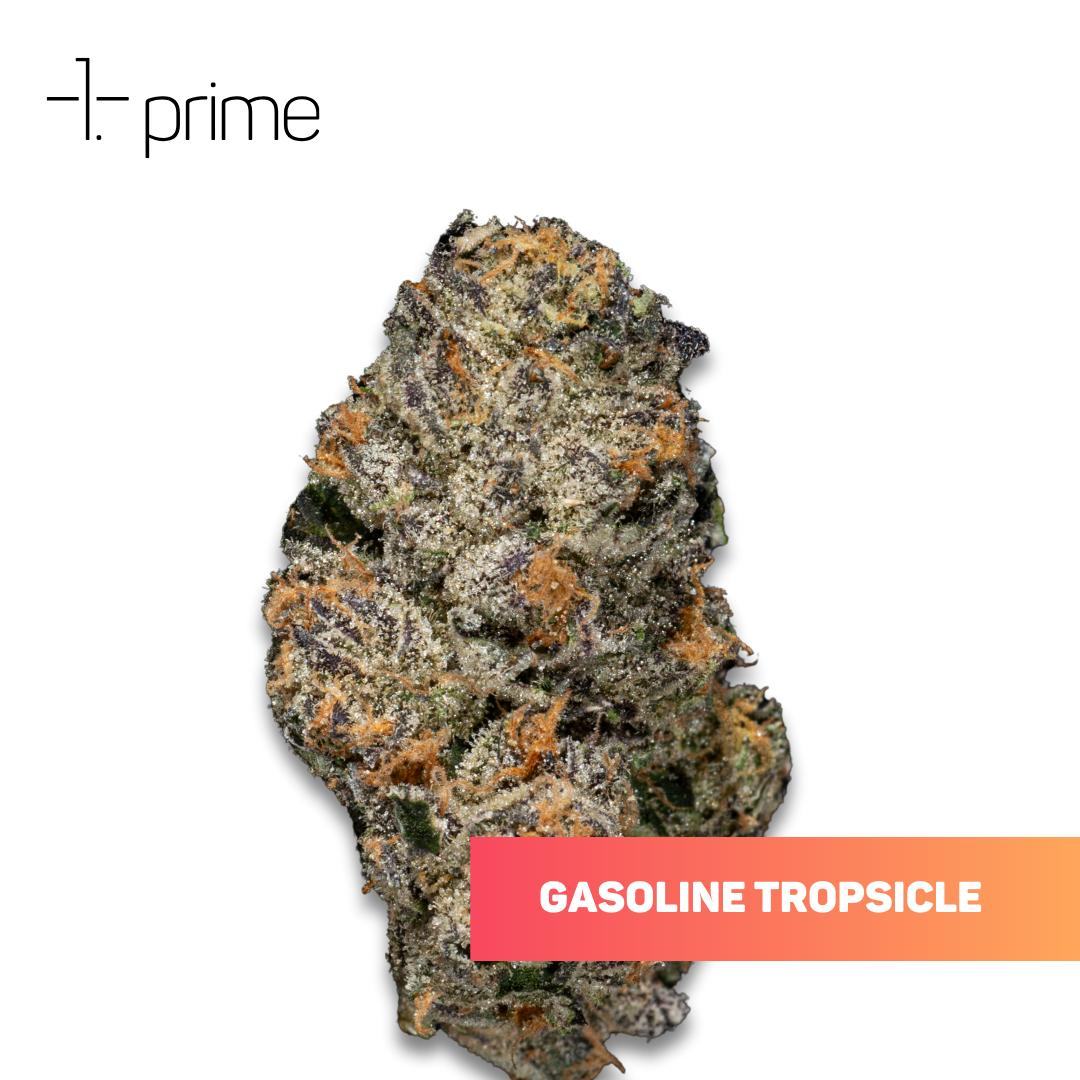 Gasoline Tropsicle Product Image