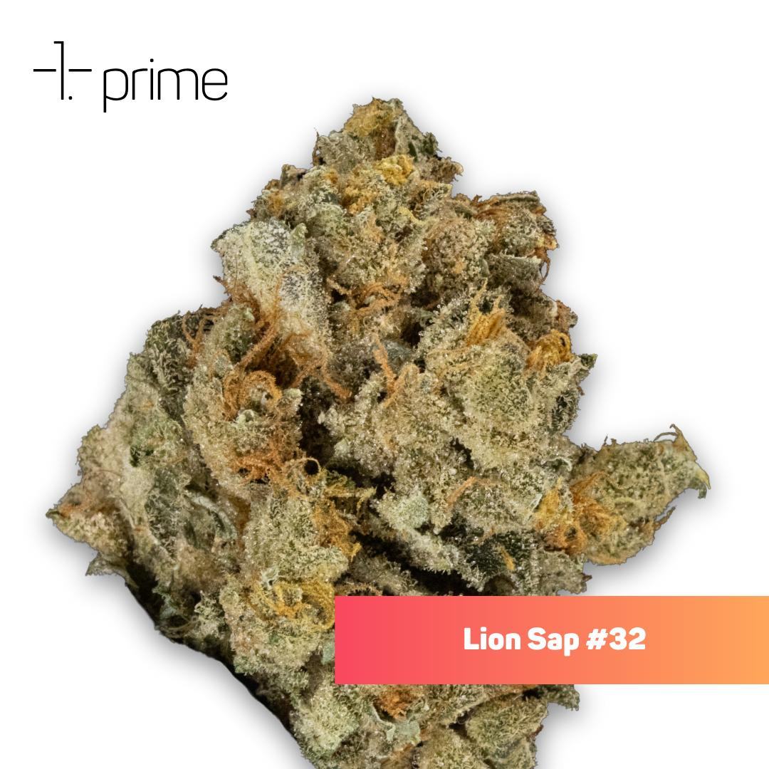 Lion Sap #32 Product Image