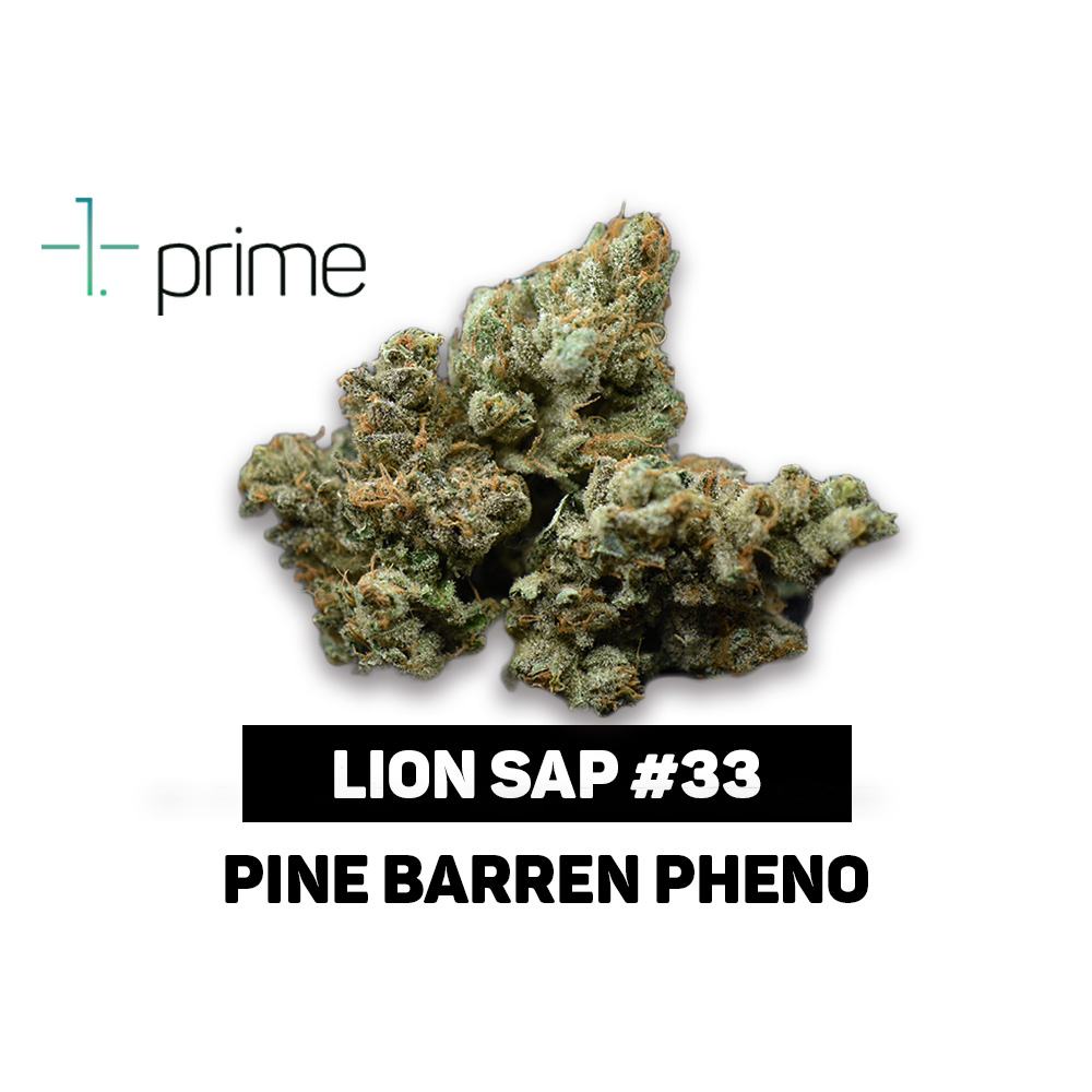 Lion Sap #33 Product Image